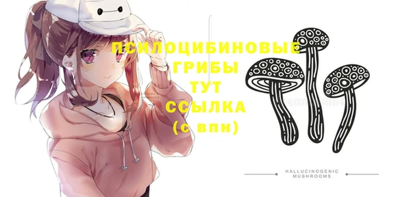 ECSTASY Абаза